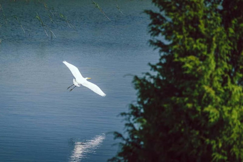 Baltic Sea Coastal Scenery and Cape Kolka From Riga - Who should book this coastal day?