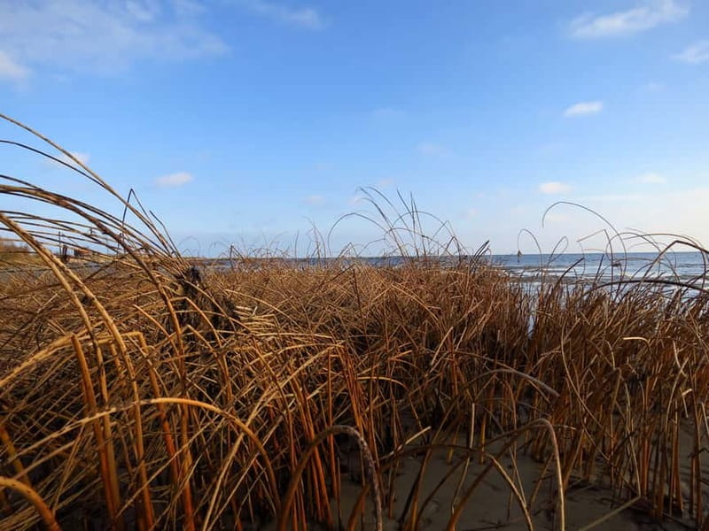 Baltic Sea Coastal Scenery and Cape Kolka From Riga - Ēvaži Steep gives you the best high view
