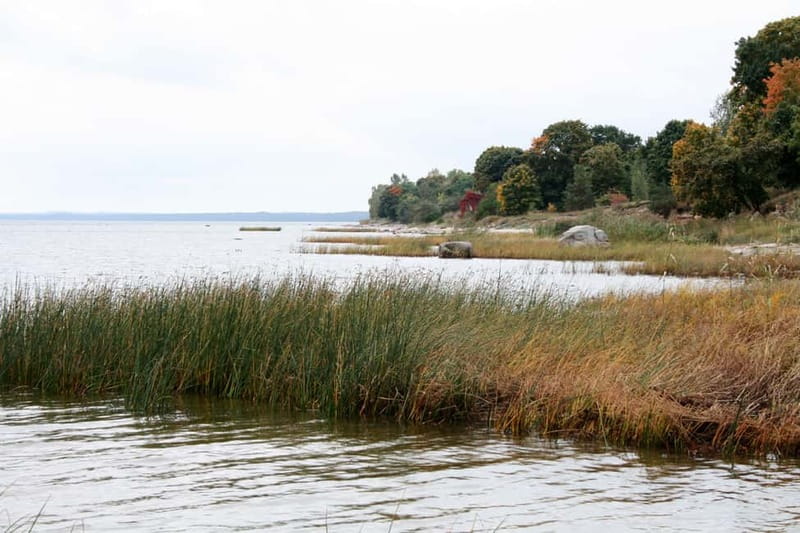 Baltic Sea Coastal Scenery and Cape Kolka From Riga - Is $235 per person good value?