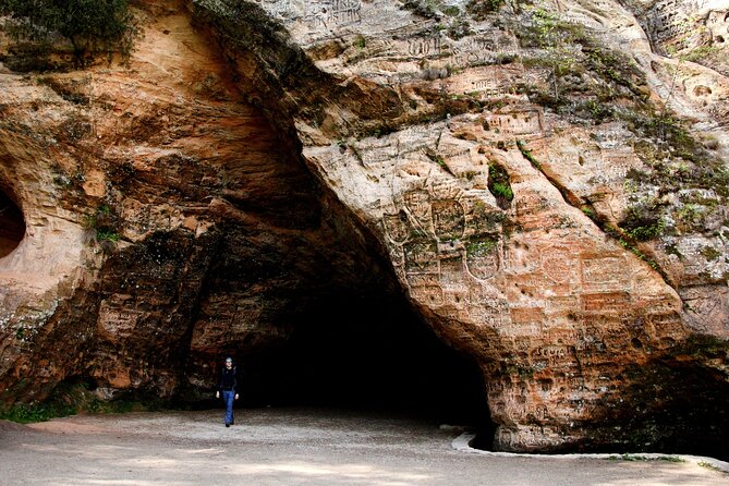 Day trip to Gauja National Park: animals, castles and a cave - Who should book this Gauja excursion