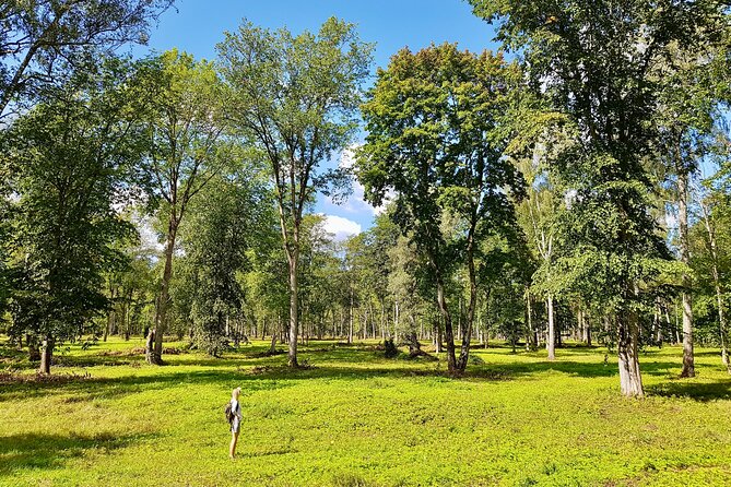 Discover Best Of Gauja National Park In One Day - Three hours on Gauja’s forest trails