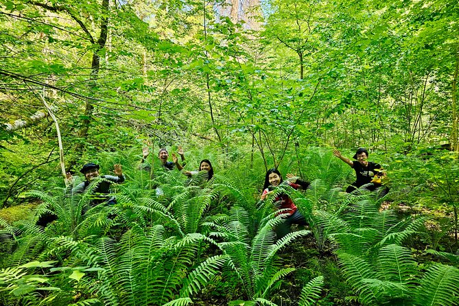Discover Best Of Gauja National Park In One Day - The morning pickup from Riga