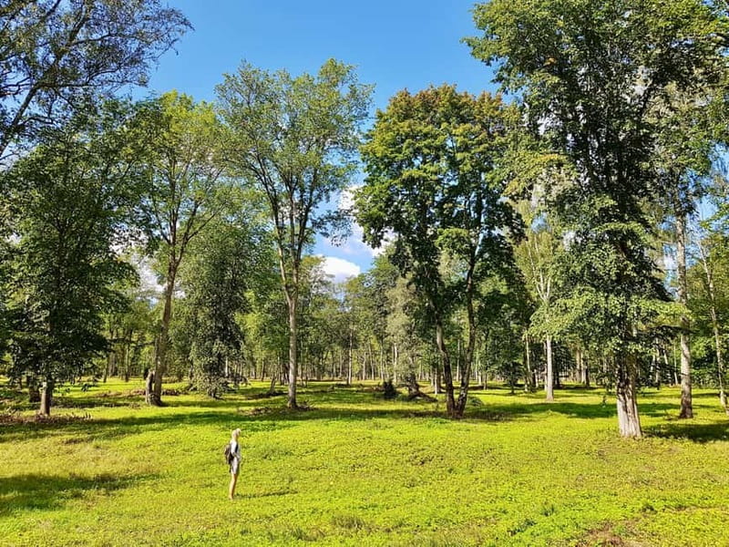 Discover Best of Sigulda and Gauja National Park In One Day - Leaving Riga for Gauja National Park