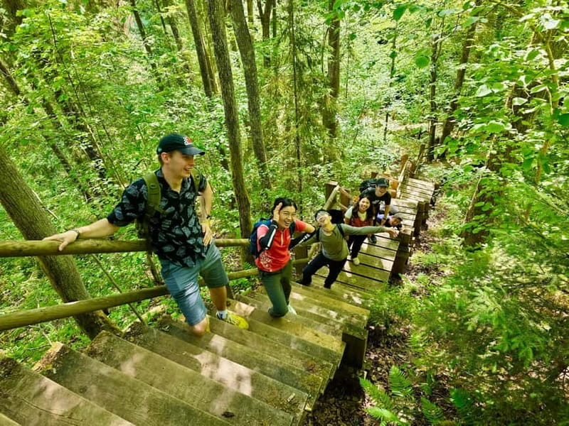 Discover Best of Sigulda and Gauja National Park In One Day - Who will enjoy this day most
