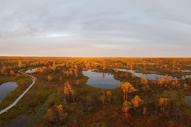 From Riga: Best of Kemeri National Park In One Day - Ragaciems and the Gulf of Riga coast