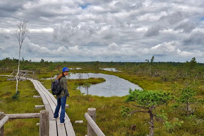 From Riga: Best of Kemeri National Park In One Day - What the small group and transport are worth