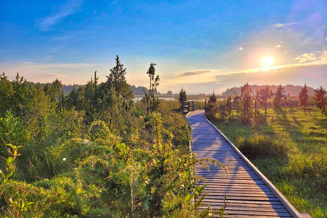 From Riga: Best of Kemeri National Park In One Day - Who will get the most from this outing