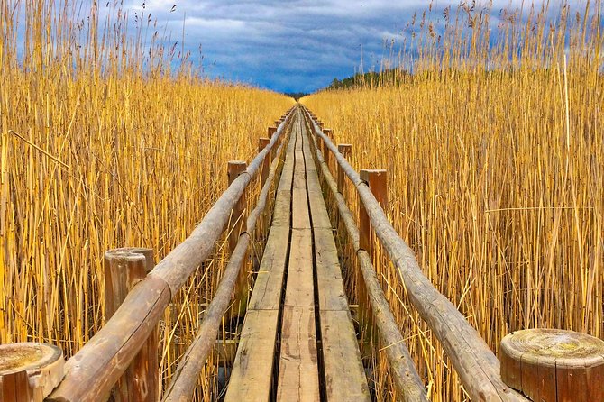From Riga: Best of Kemeri National Park In One Day - Wet forests and Kemeri’s sulphur springs