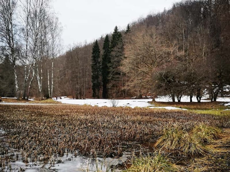 From Riga: Cesis and Sigulda Day Trip with Hotel Transfers - Who should book this day trip?