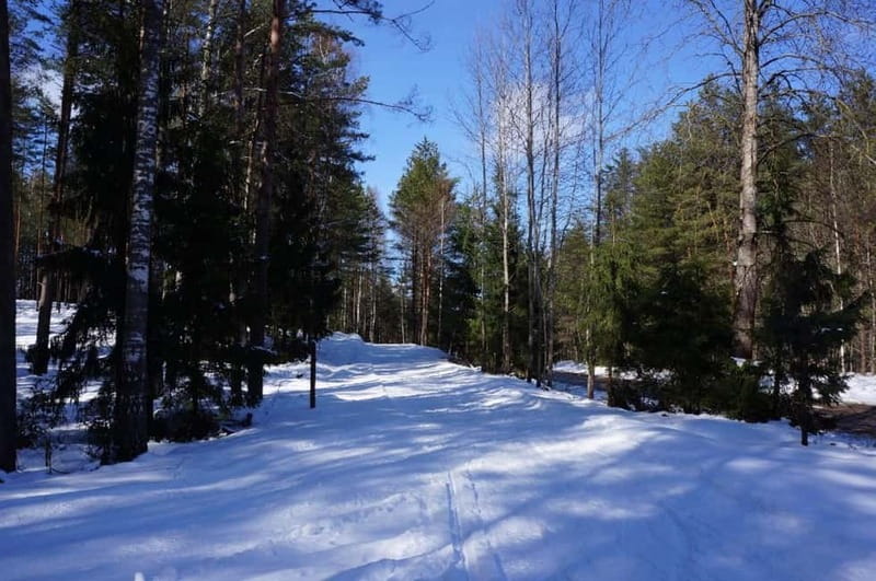 From Riga: Cross-country skiing and beating heart memorial - Key points at a glance