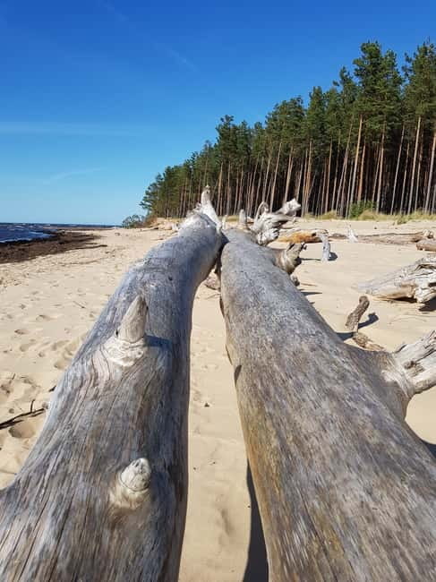 From Riga: Four Natural Ecosystems In One Hike - The Baltic beach is the route’s open-air pause