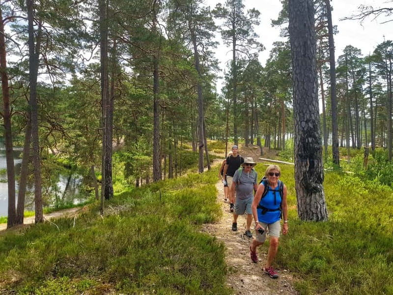 From Riga: Four Natural Ecosystems In One Hike - The Gauja River delta changes with the season
