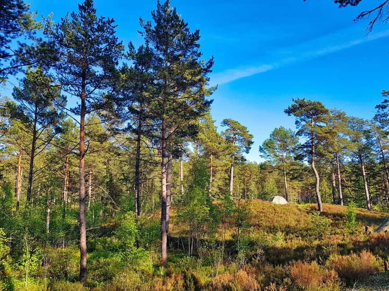 From Riga: Four Natural Ecosystems In One Hike - What the $147 price really buys