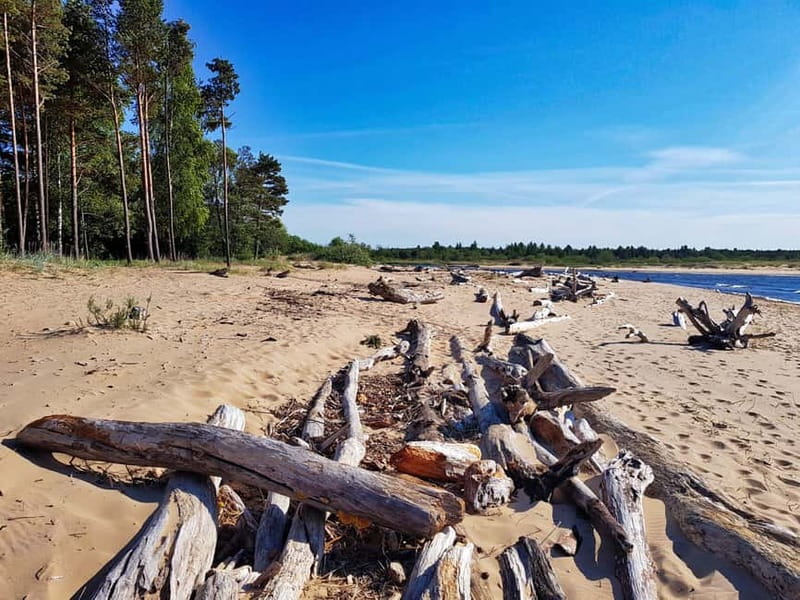 From Riga: Four Natural Ecosystems In One Hike - Who should take this Riga nature tour
