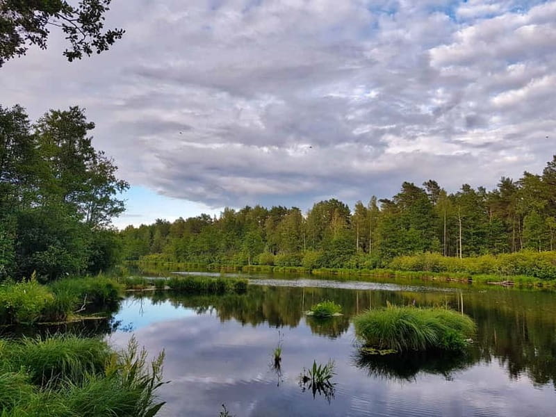 From Riga: Four Natural Ecosystems In One Hike - Practical packing for six hours outside