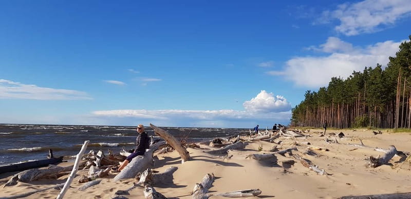 From Riga: Four Natural Ecosystems In One Hike - The coastal pine forest begins the walk