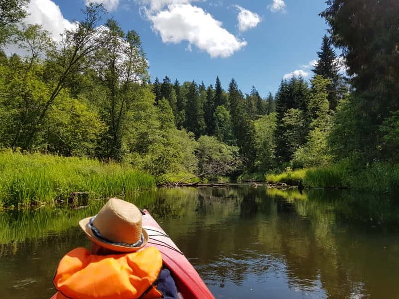 From Riga: Full-Day Scenic Gauja River Valley Kayaking Trip - Is $306 a fair price?
