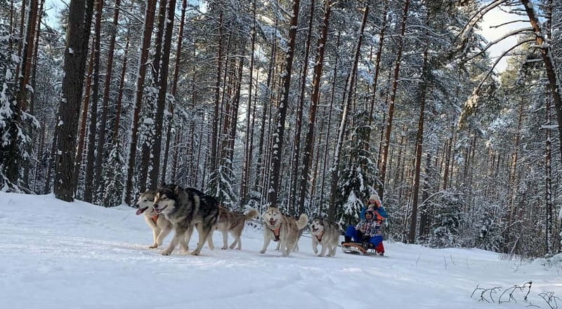 From Riga: Husky Sledding or Wheel Kart Tour - Key points to know before booking