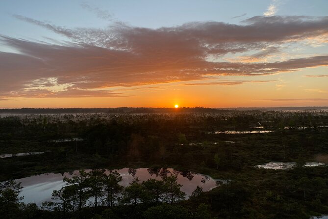 From Riga: Kemeri Bog Boardwalk and Jurmala Seaside - Why Ķemeri Bog is the heart of the day
