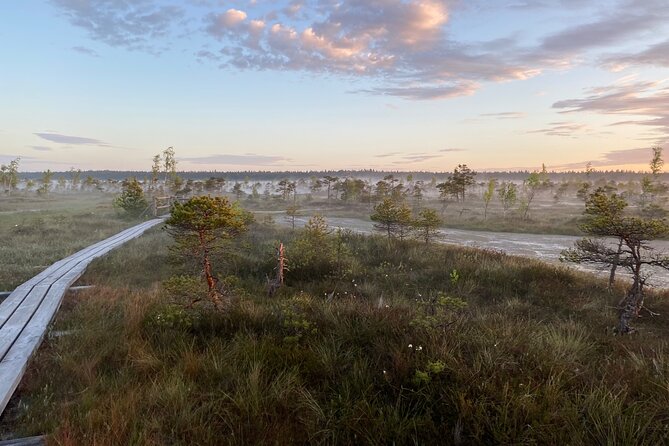 From Riga: Kemeri Bog Boardwalk and Jurmala Seaside - Price, timing, and what you receive
