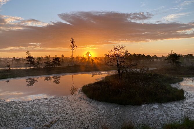 From Riga: Kemeri Bog Boardwalk and Jurmala Seaside - Jūrmala brings the Baltic coast into view