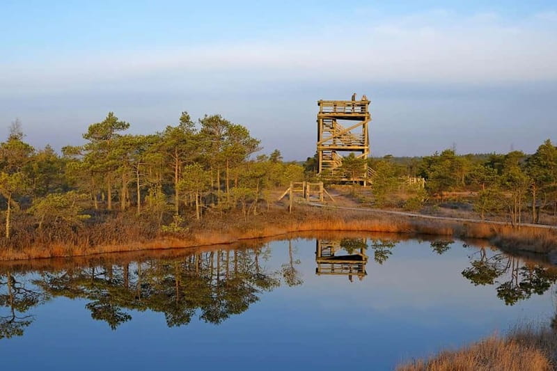 From Riga: Kemeri National Park and Kuldiga Tour - Key things to know before booking
