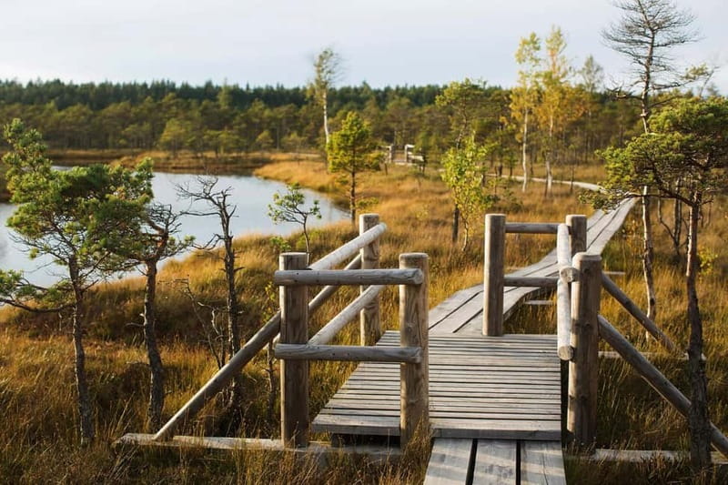From Riga: Kemeri National Park and Kuldiga Tour - Two very different Latvian stops in one day