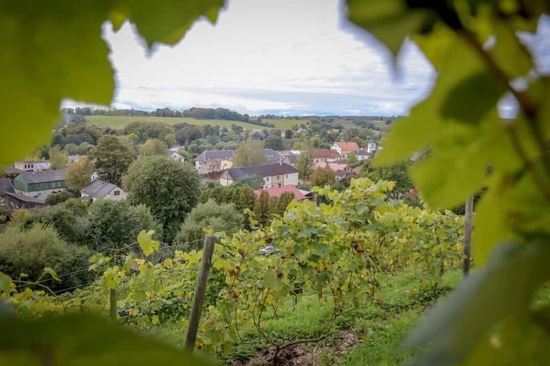 From Riga: Kuldiga UNESCO, Waterfall & Wine Day Trip - Venta Rapid, Europe’s widest waterfall