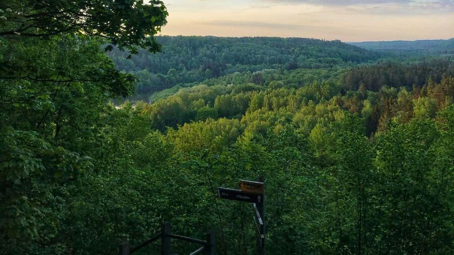 From Riga: Sigulda Top Sights & Wine Tasting - Transport, timing, and physical comfort