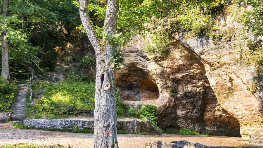 From Riga: Sigulda Top Sights & Wine Tasting - Who will enjoy this Sigulda tour most?