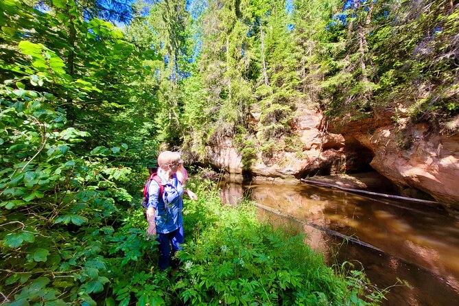 Full Day Gauja National Park Ultimate Hiking & Sightseeing Trip - Ērgļu Cliffs beside the Gauja River