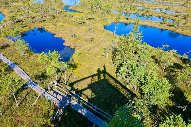 Great Ķemeri Bog and Swamp Forest Hiking Adventure - Walking the four-kilometer Great Ķemeri Bog route