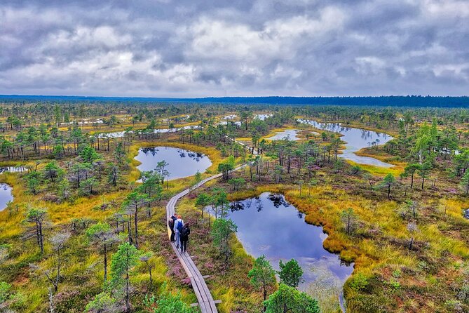 Great Ķemeri Bog and Swamp Forest Hiking Adventure - Is $156.21 a fair price?