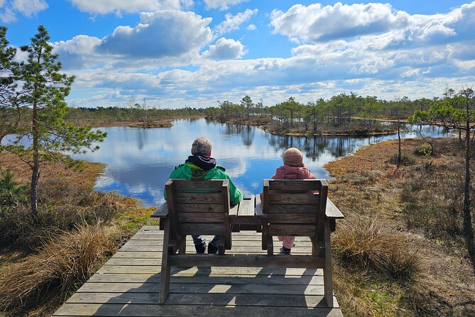 Great Ķemeri Bog and Swamp Forest Hiking Adventure - How much walking and preparation do you need?