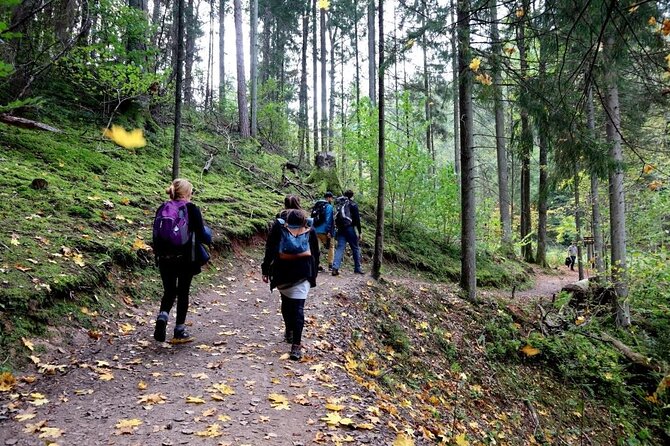 Hike In Gauja National Park - Up And Down The Switzerland Of Latvia - From Riga Streets To Gauja Forest
