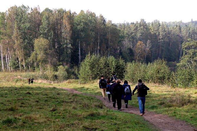 Hike In Gauja National Park - Up And Down The Switzerland Of Latvia - Small Group Benefits And Guide Style