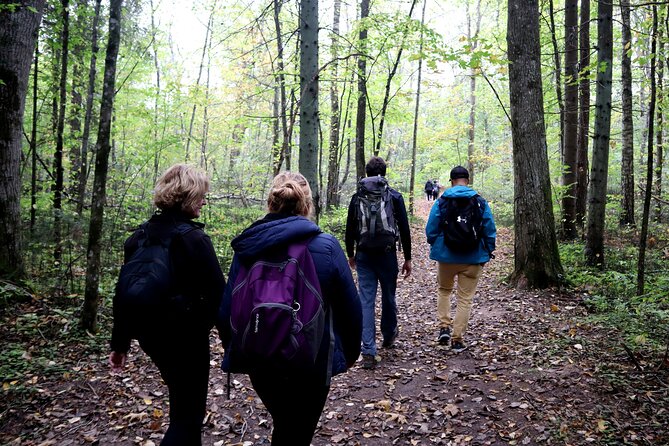 Hike In Gauja National Park - Up And Down The Switzerland Of Latvia - Who Should Book This Hike?