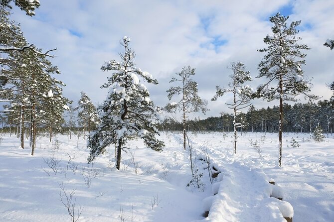 Husky Dog Sledding Tour From Riga - Who will get the most from this experience?