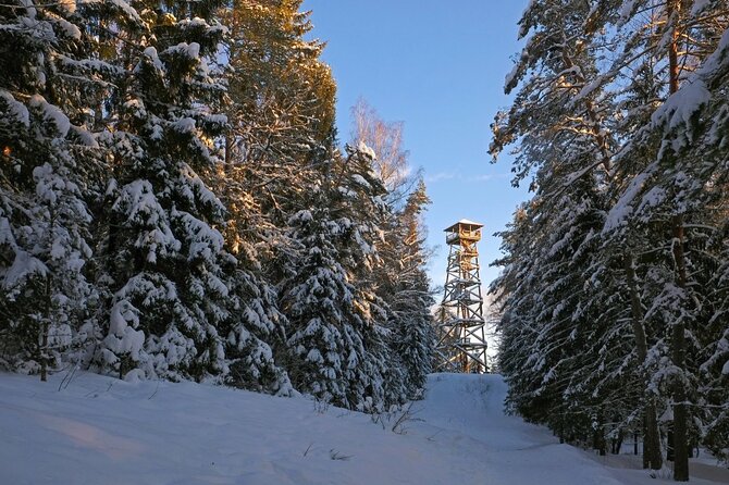 Husky Dog Sledding Tour From Riga - Practical details that can make the day smoother