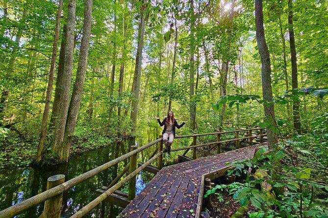 Ķemeri Great Bog Discovery With Optional Sunrise & Jūrmala Visit - What the $138.55 price means