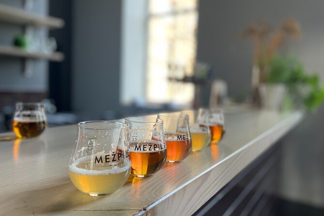 Latvian Brewery Visit and Beer Tasting - A Brewery Visit Beyond a Simple Beer Flight
