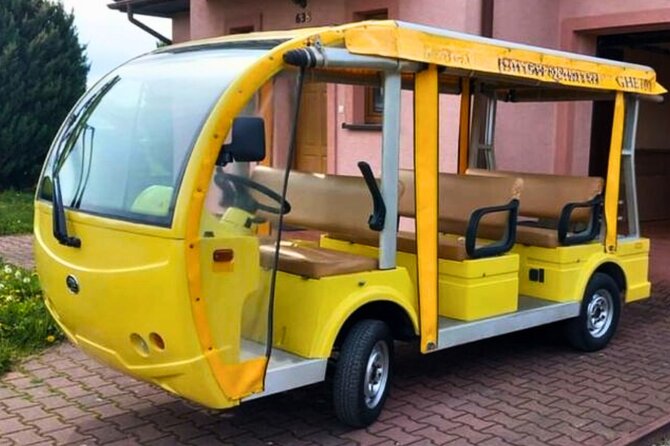 Old Town Sightseeing Tour in Riga by Electro Bus - Group size, comfort, and the electric bus