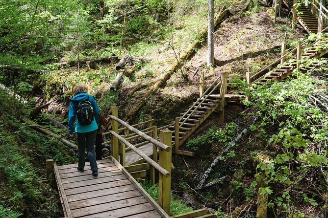 Private Full-Day Hiking Tour in Sigulda and Gauja National Park - A quieter pause at Krimulda manor