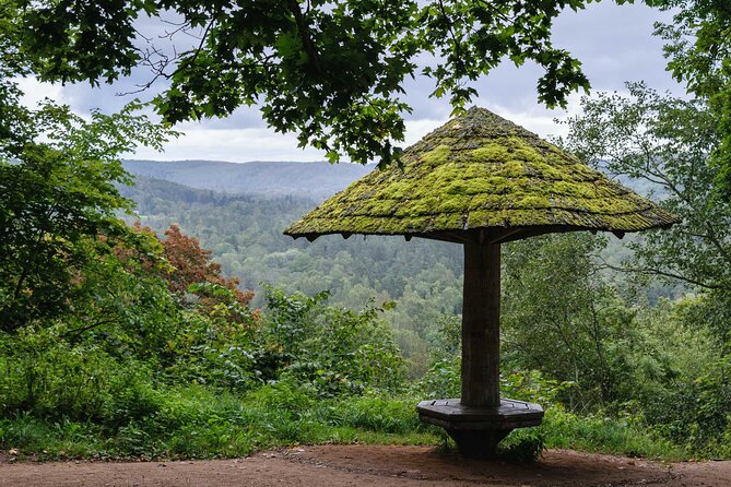 Private Full-Day Hiking Tour in Sigulda and Gauja National Park - Forest paths, meadows, and the Gauja valley