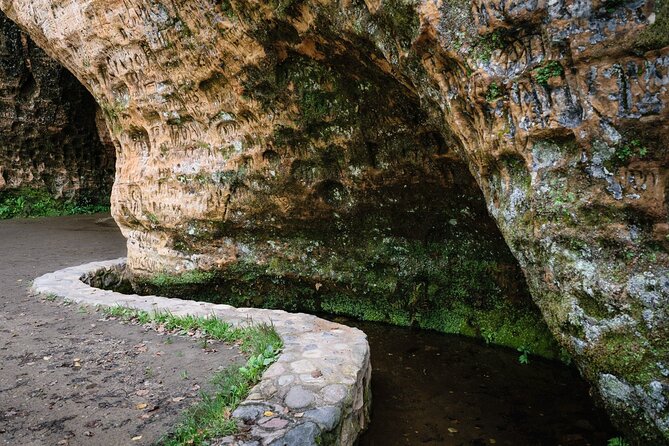 Private Full-Day Hiking Tour in Sigulda and Gauja National Park - What the private guide adds