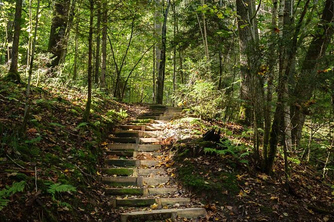 Private Full-Day Hiking Tour in Sigulda and Gauja National Park - Is $195.18 per person a fair price?