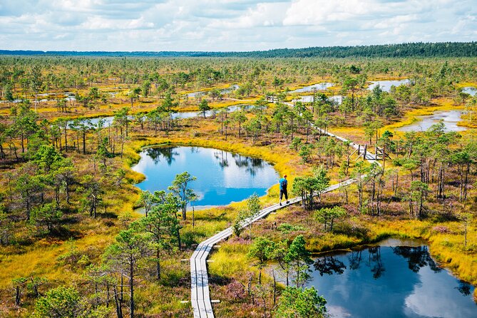 Private Full-Day Trip to Jurmala and Great Kemeri Bog Boardwalk - Walking the Great Kemeri Bog Boardwalk