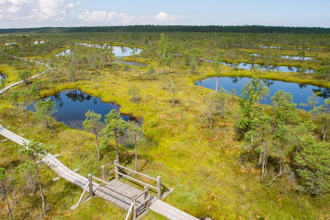 Private Full-Day Trip to Jurmala and Great Kemeri Bog Boardwalk - What the private format changes
