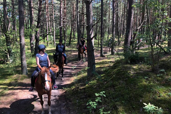 Private Horse Riding on the Beach in Riga - A private ride that adapts to your group