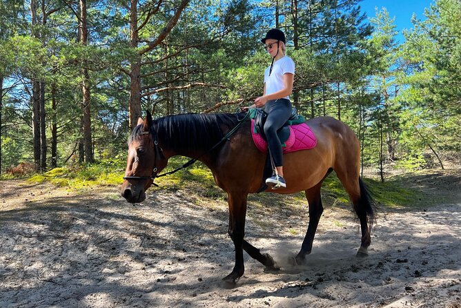 Private Horse Riding on the Beach in Riga - Weather, timing, and cancellation details
